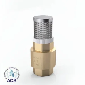 BRASS SWING CHECK VALVE SPRING with FILTER - Image 1