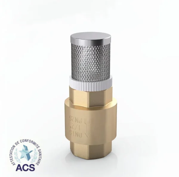BRASS-SWING-CHECK-VALVE-SPRING-with-FILTER-HC-12051.webp