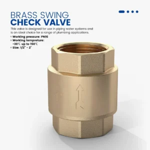 Brass Swing Spring Check Valve - Image 2