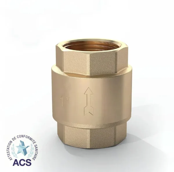 Brass-Swing-Spring-Check-Valve-HC-12.04053.webp